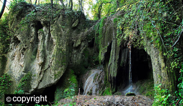 Током Белог изворца: Јесења симфонија боја у хомољским шумама